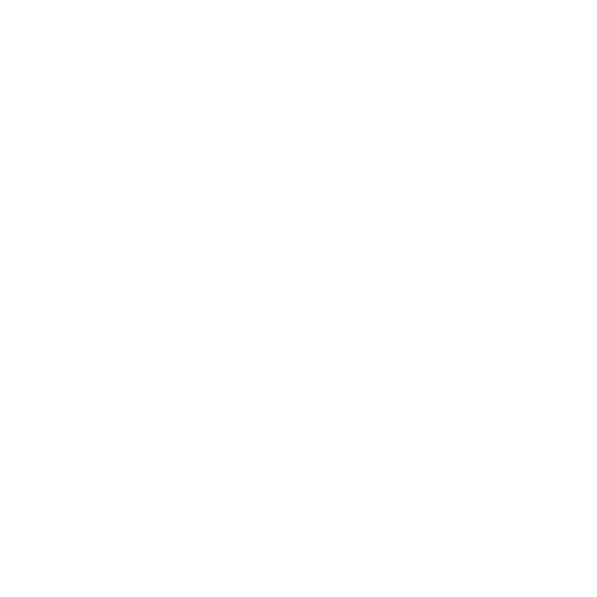 Paint Protection Film Paint Protection Film